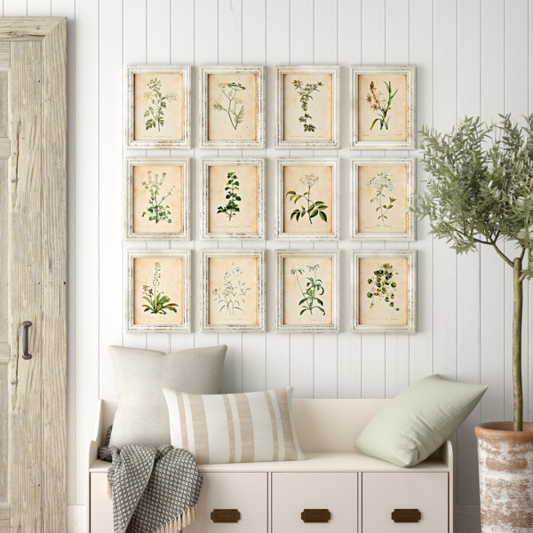 Birch Lane™ 'Wild Flower Botanical' 12 Piece Picture Frame Print Set